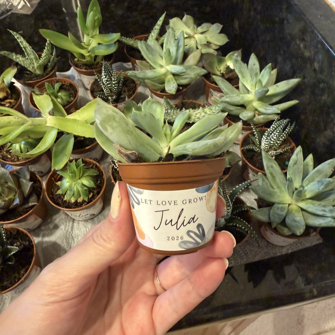 Photo shared by Jessica for their Babylist baby registry.