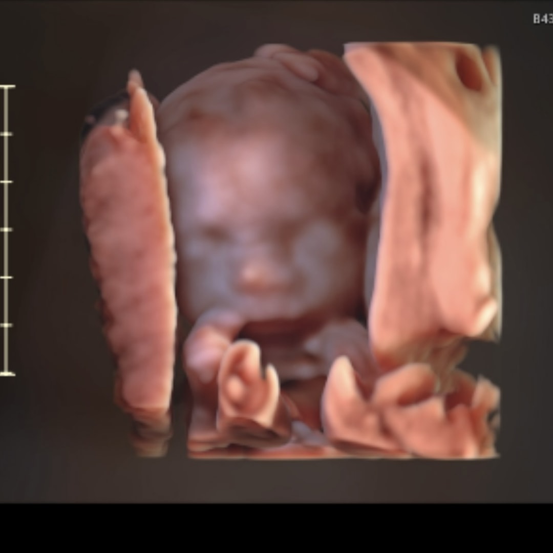 Photo shared by Ashley for their Babylist baby registry.