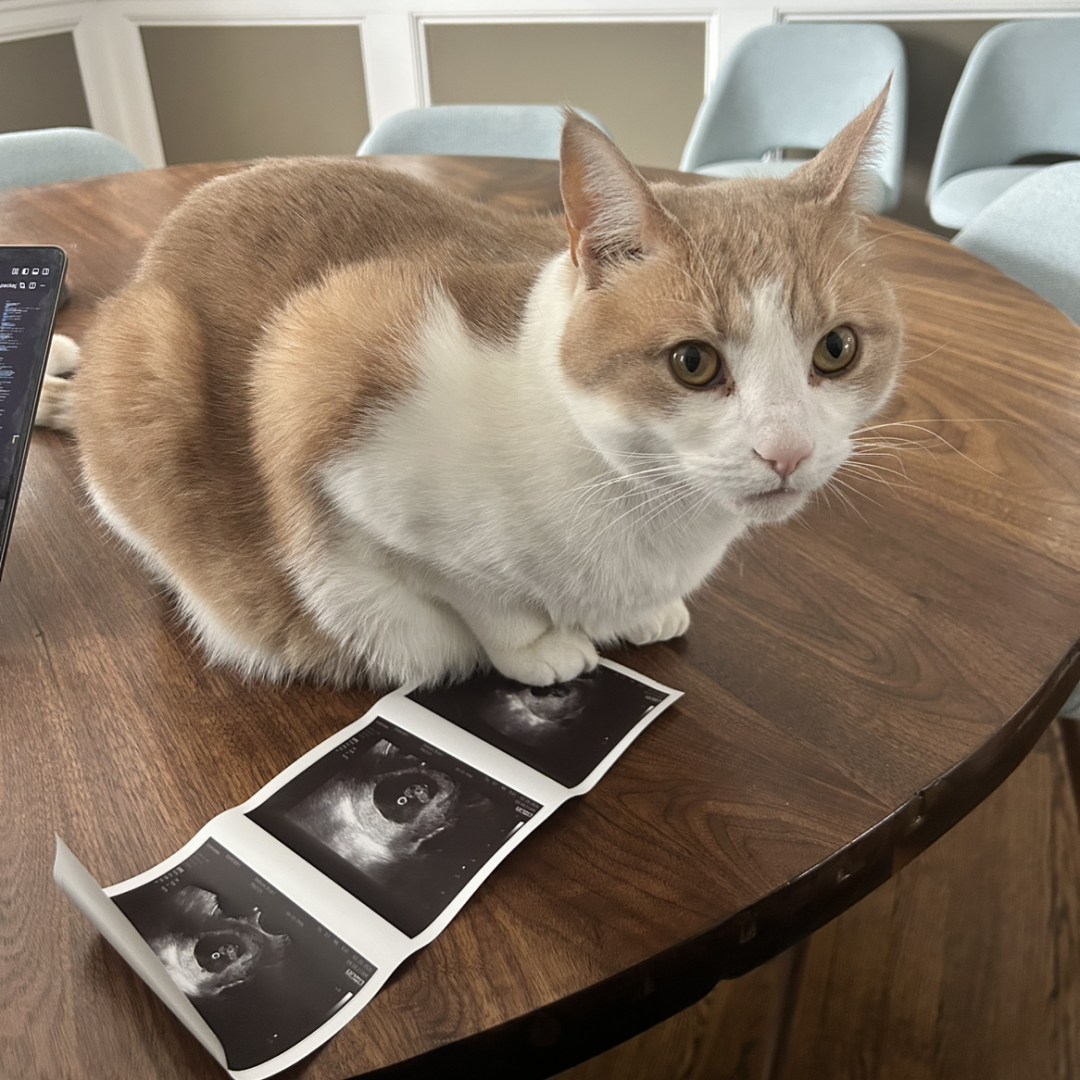 Photo shared by Briar for their Babylist baby registry.