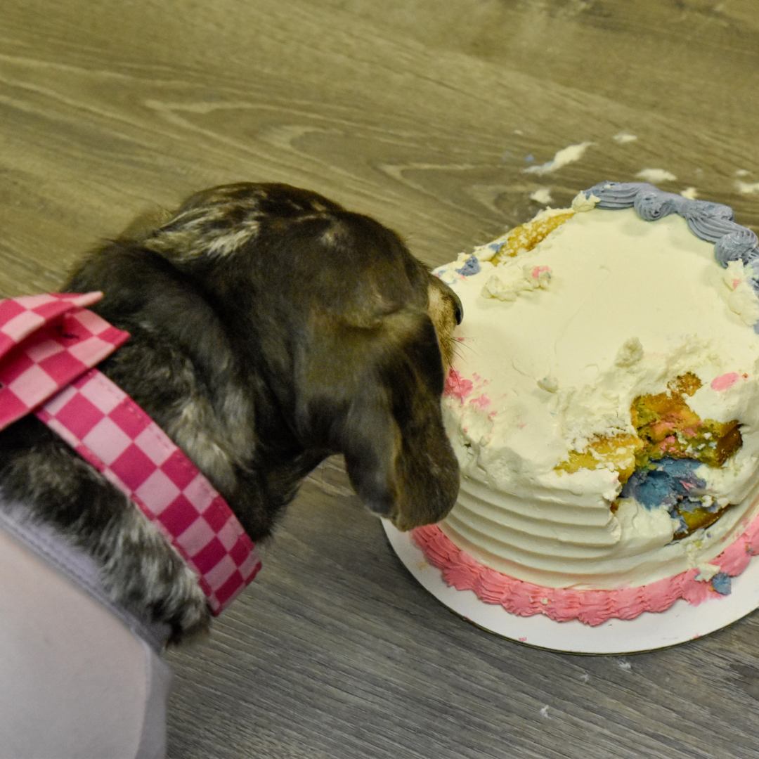 Photo shared by Satin for their Babylist baby registry.