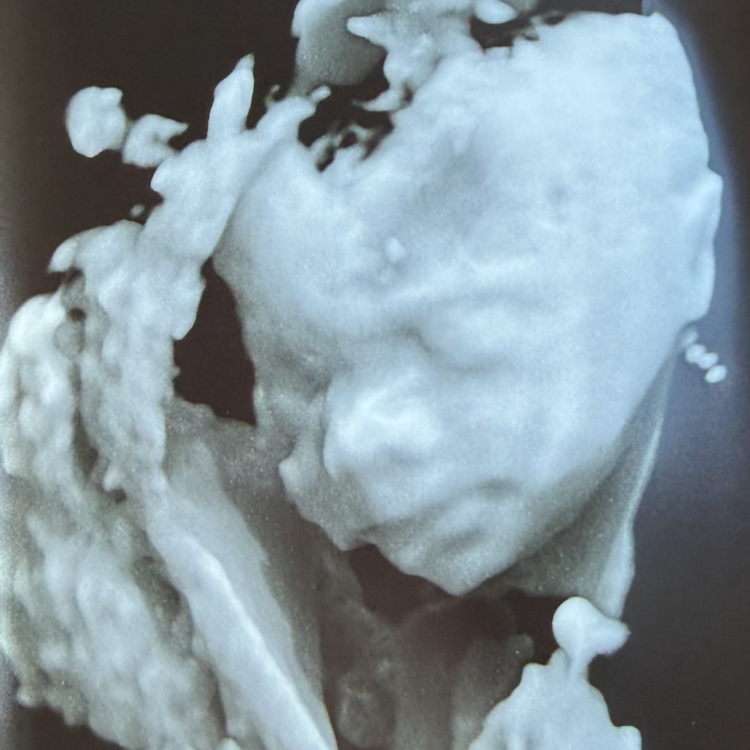 Photo shared by Emma for their Babylist baby registry.