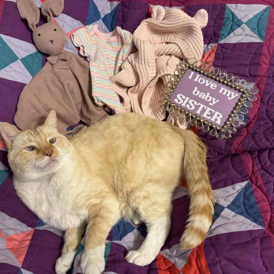 Photo shared by Mallory for their Babylist baby registry.