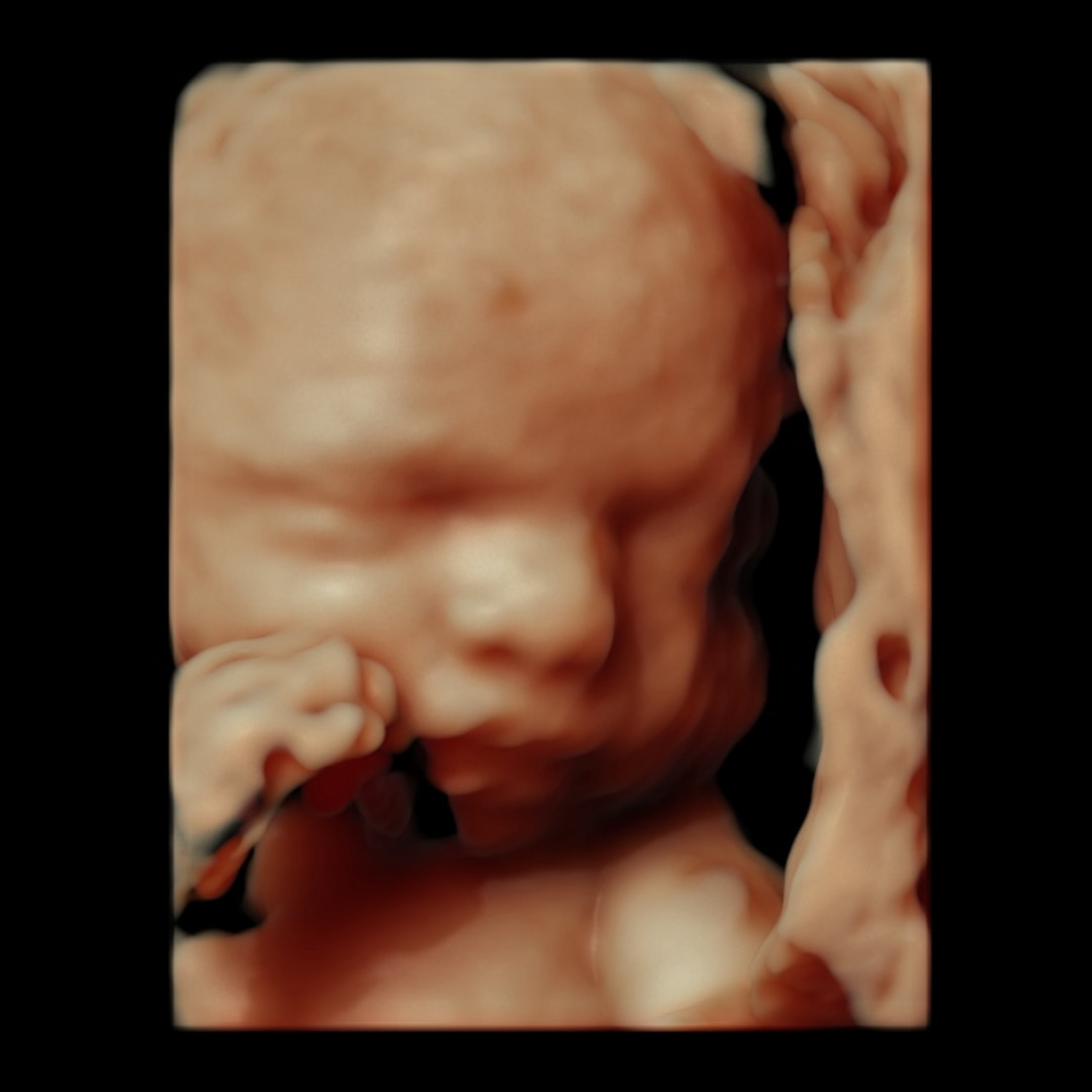 Photo shared by Karla for their Babylist baby registry.