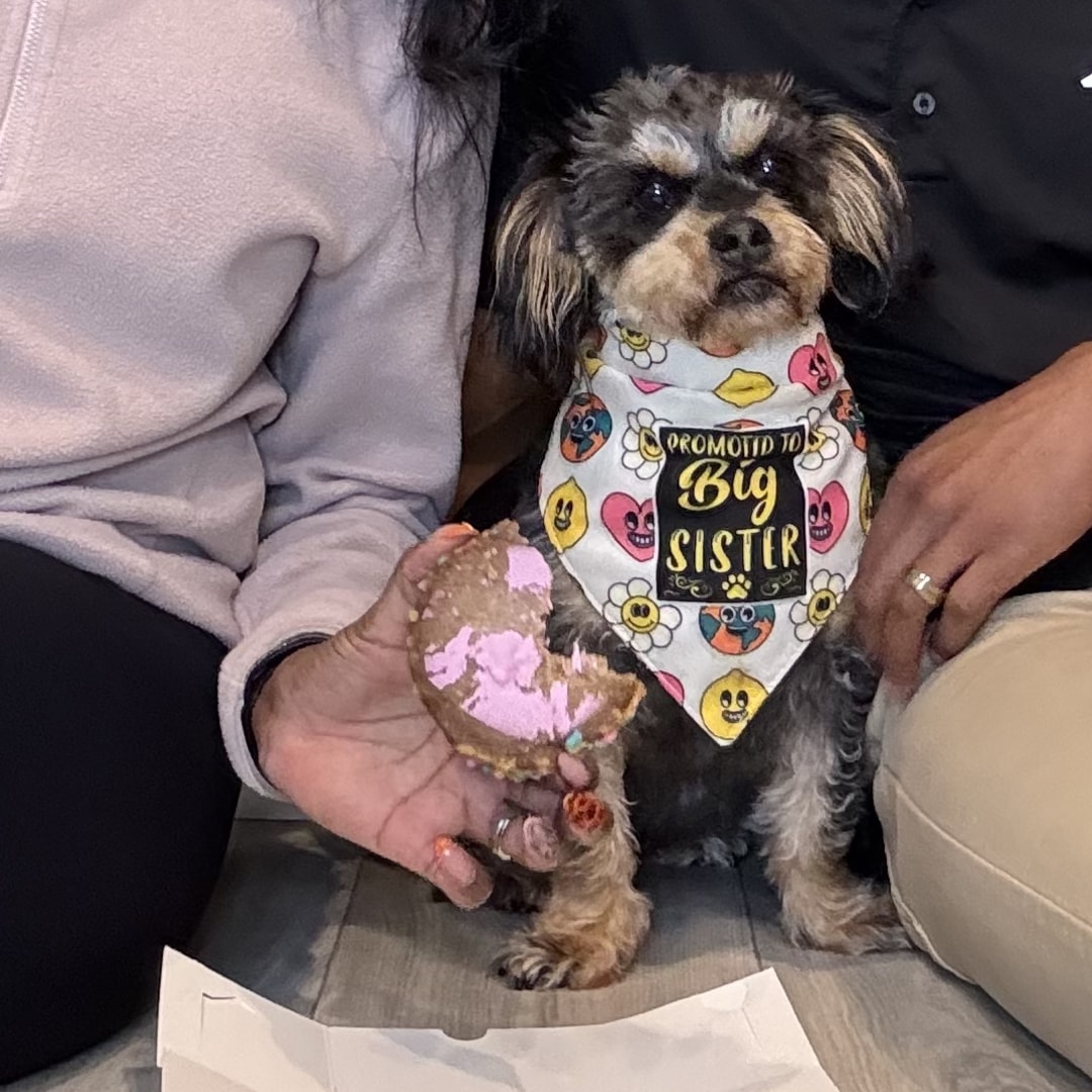 Photo shared by Danielle for their Babylist baby registry.