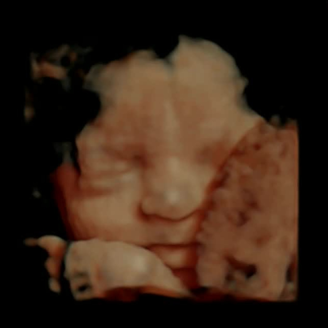 Photo shared by Kayla for their Babylist baby registry.