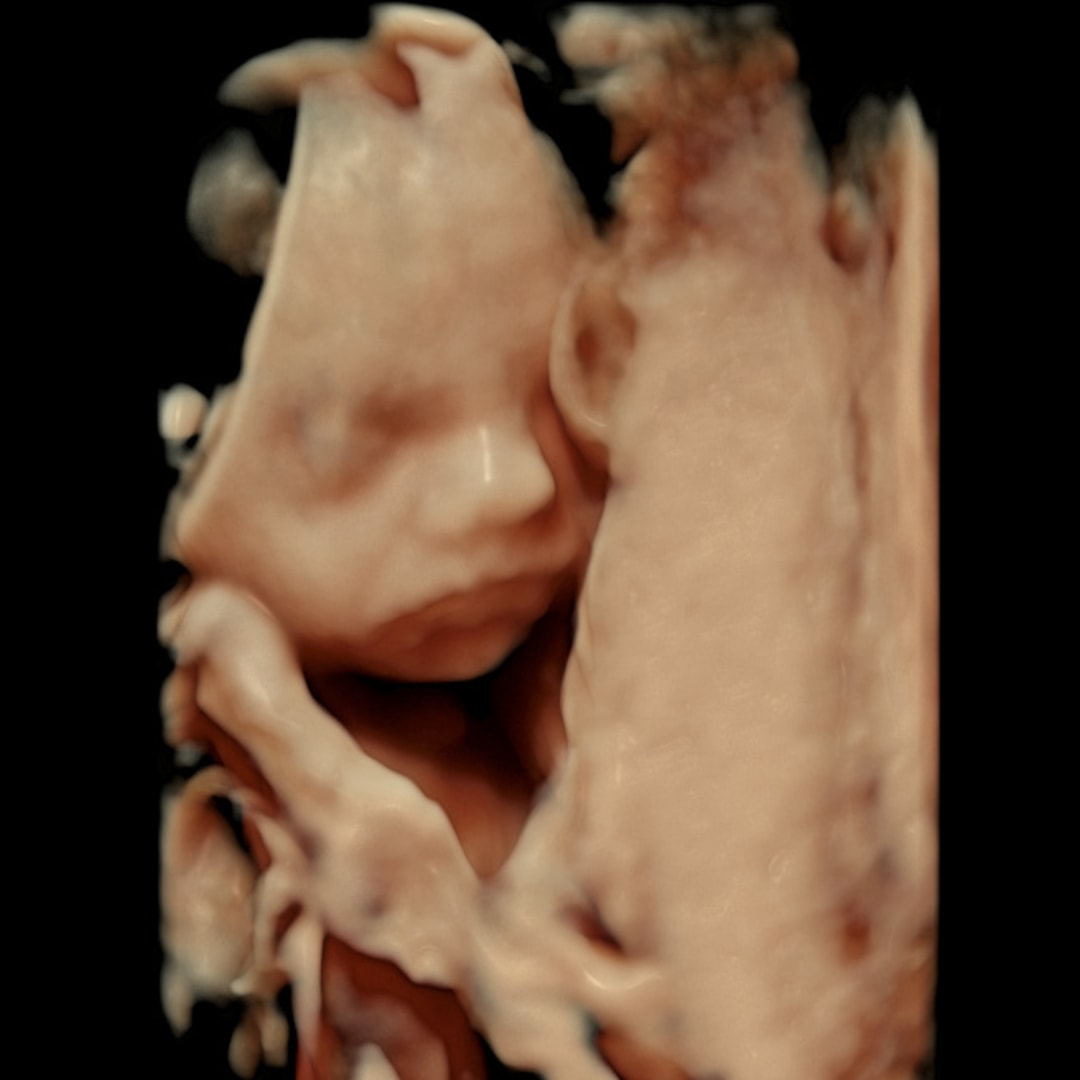 Photo shared by Bailey for their Babylist baby registry.