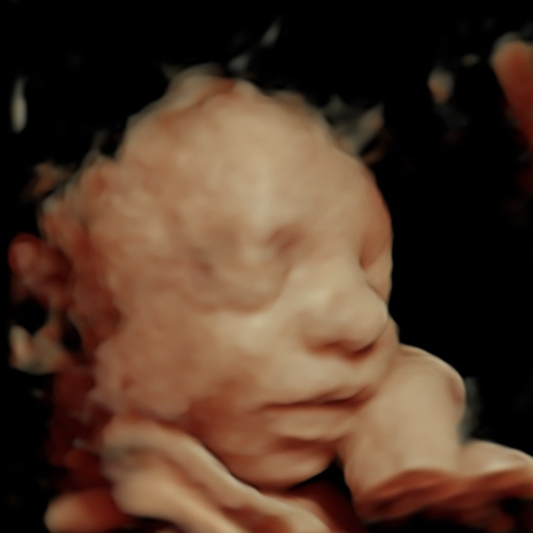 Photo shared by Julia for their Babylist baby registry.