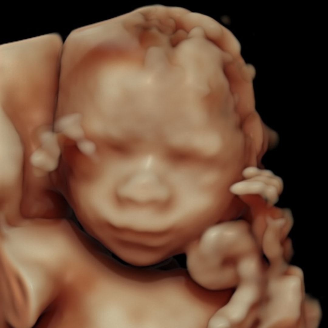 Photo shared by Erica for their Babylist baby registry.