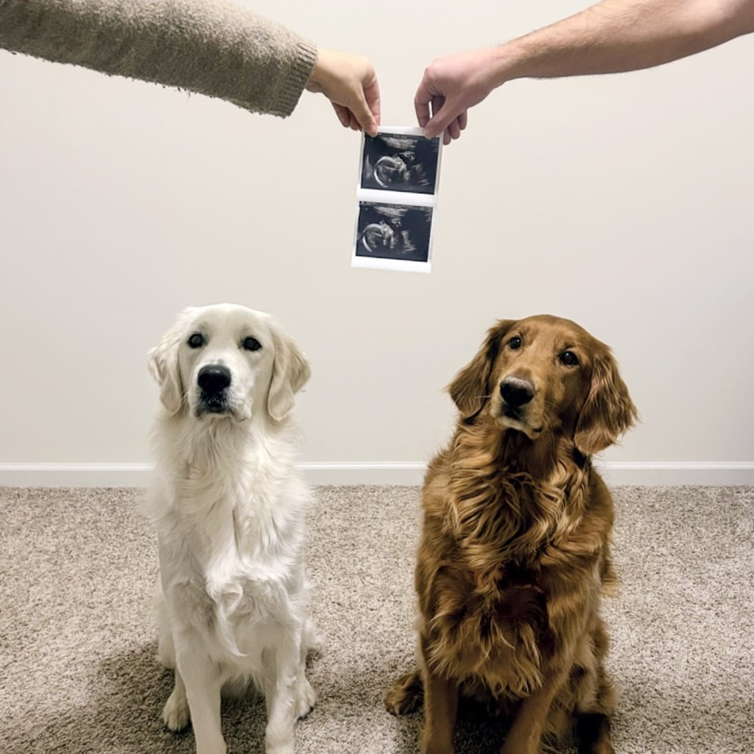 Photo shared by Elena for their Babylist baby registry.