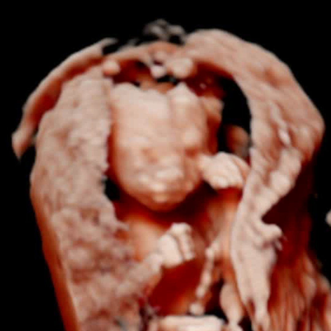 Photo shared by Lindsey for their Babylist baby registry.