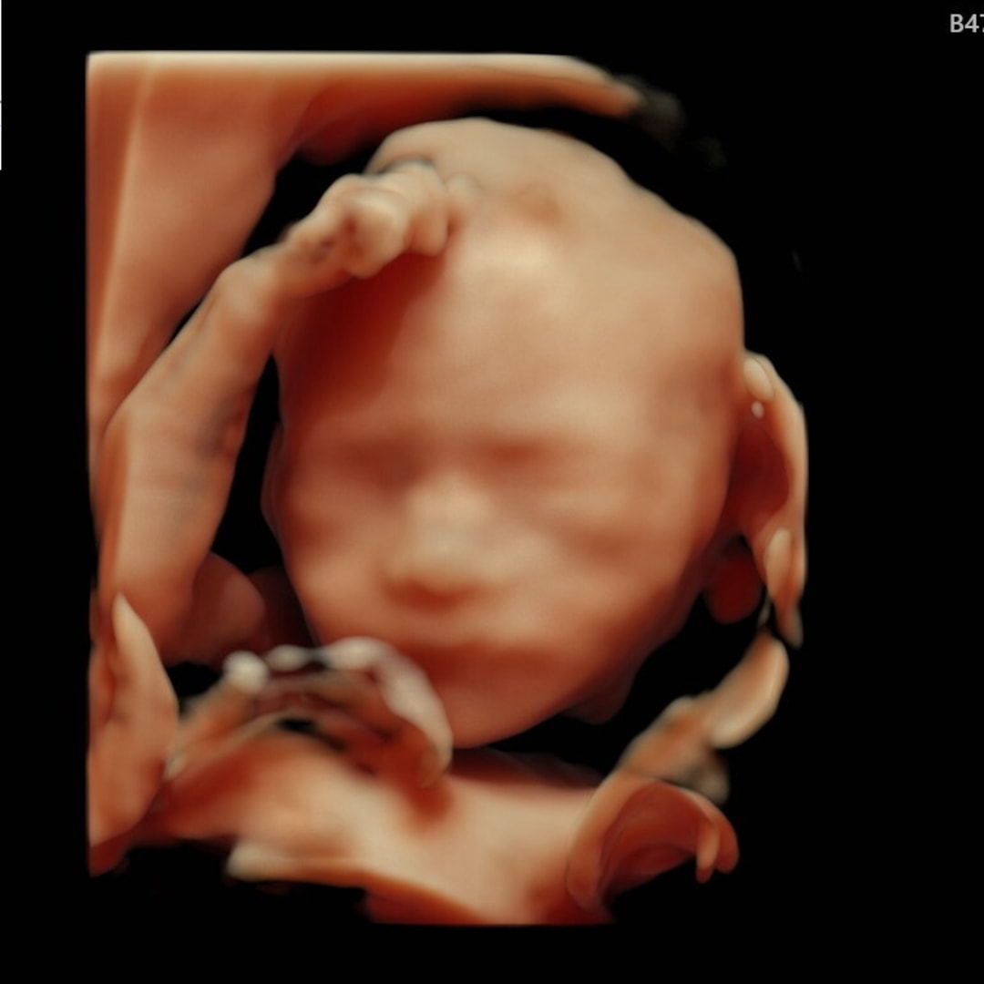 Photo shared by Alexa for their Babylist baby registry.