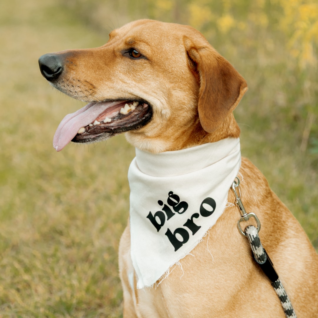 Photo shared by Lauren for their Babylist baby registry.