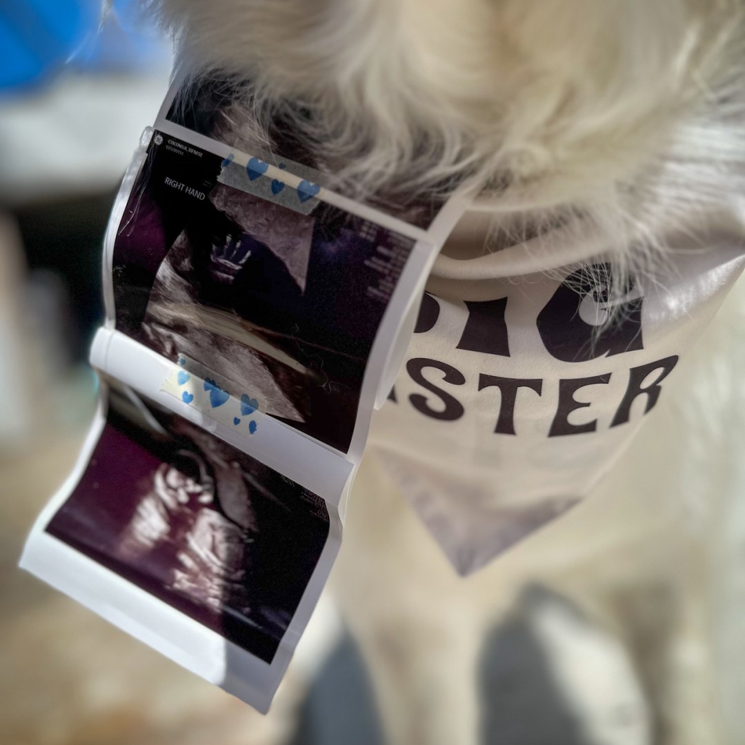Photo shared by Denise for their Babylist baby registry.