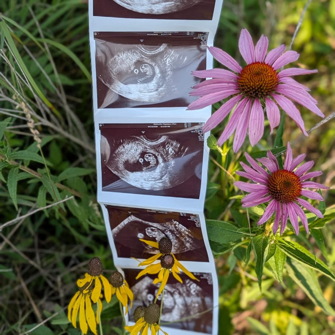 Photo shared by Katie for their Babylist baby registry.