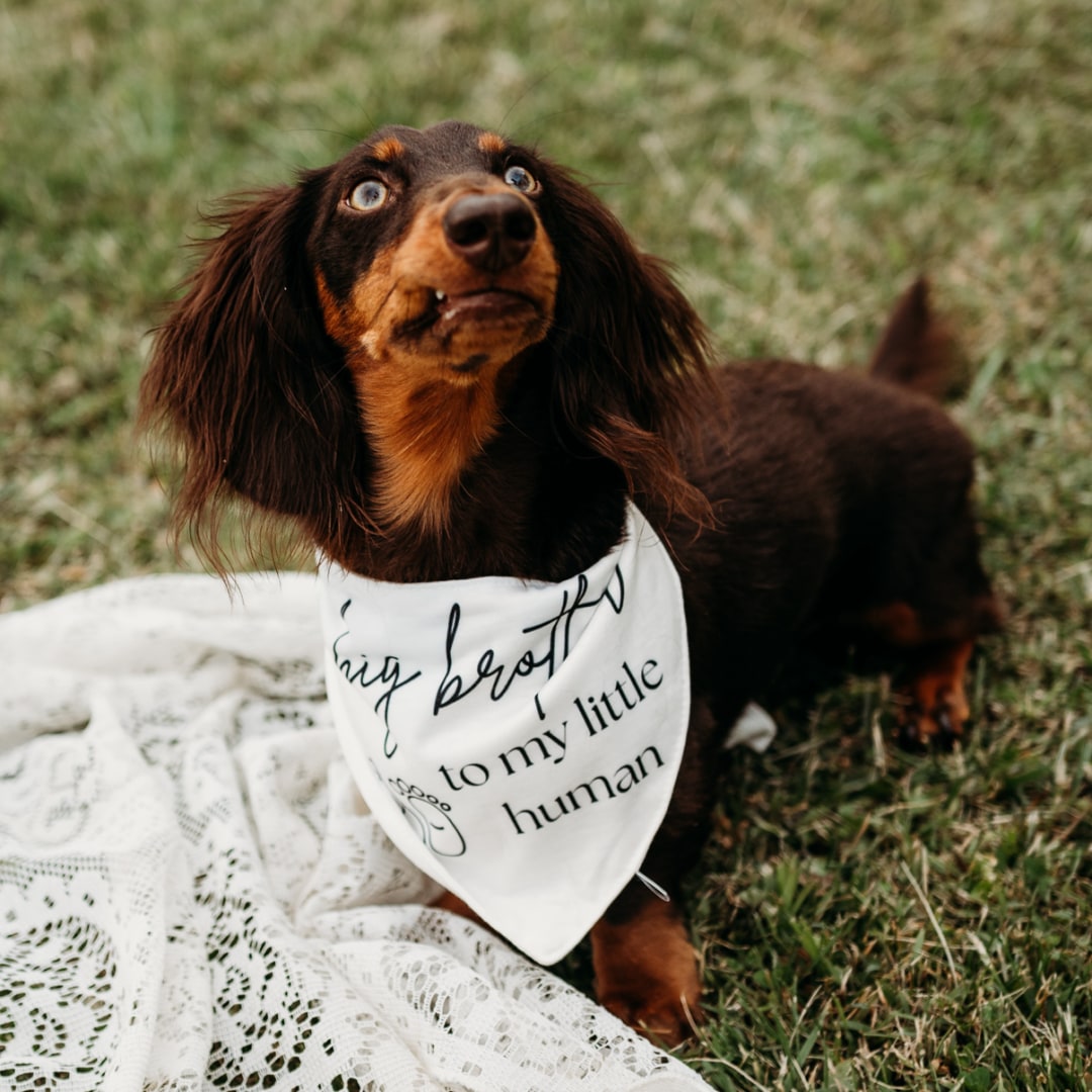 Photo shared by Heaven for their Babylist baby registry.