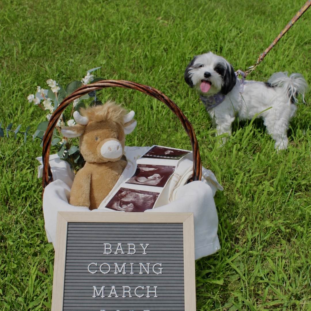 Photo shared by Elena for their Babylist baby registry.