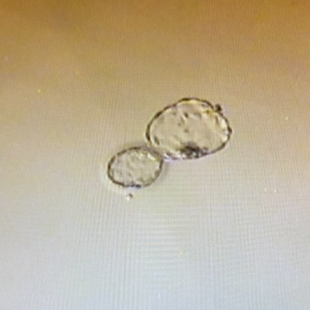 Photo shared by Jessica for their Babylist baby registry.