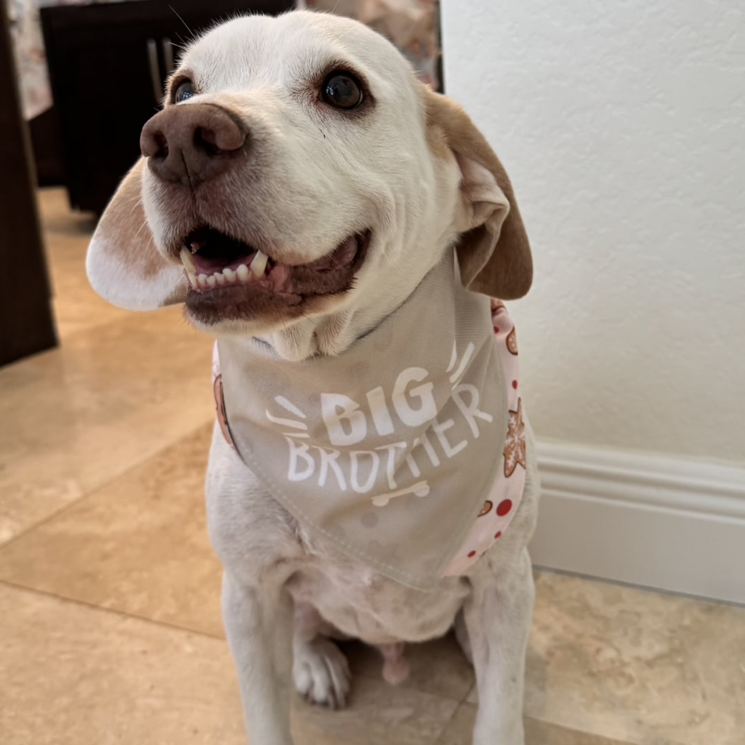 Photo shared by Danielle for their Babylist baby registry.