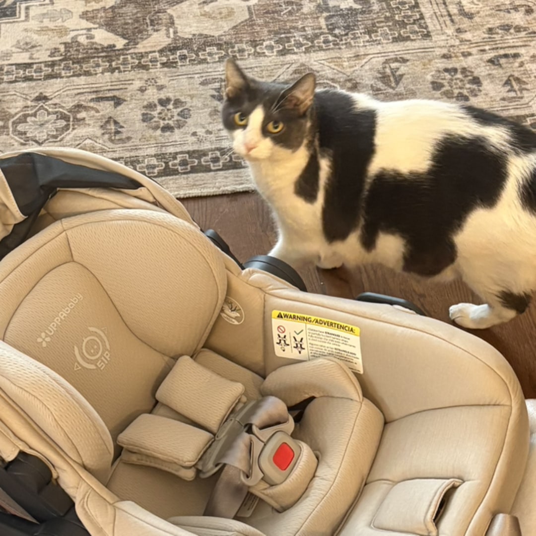 Photo shared by Lauren for their Babylist baby registry.