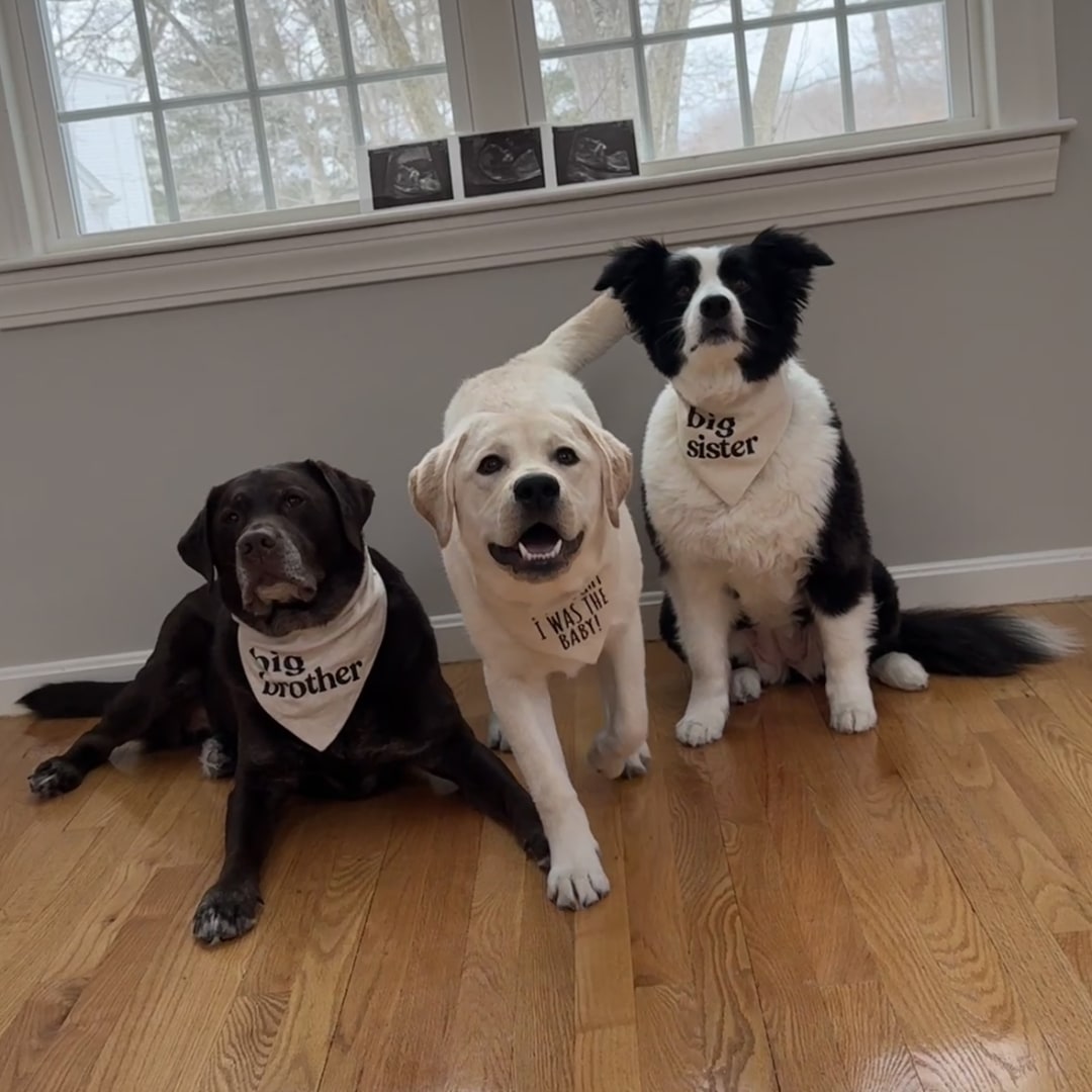 Photo shared by Alex for their Babylist baby registry.