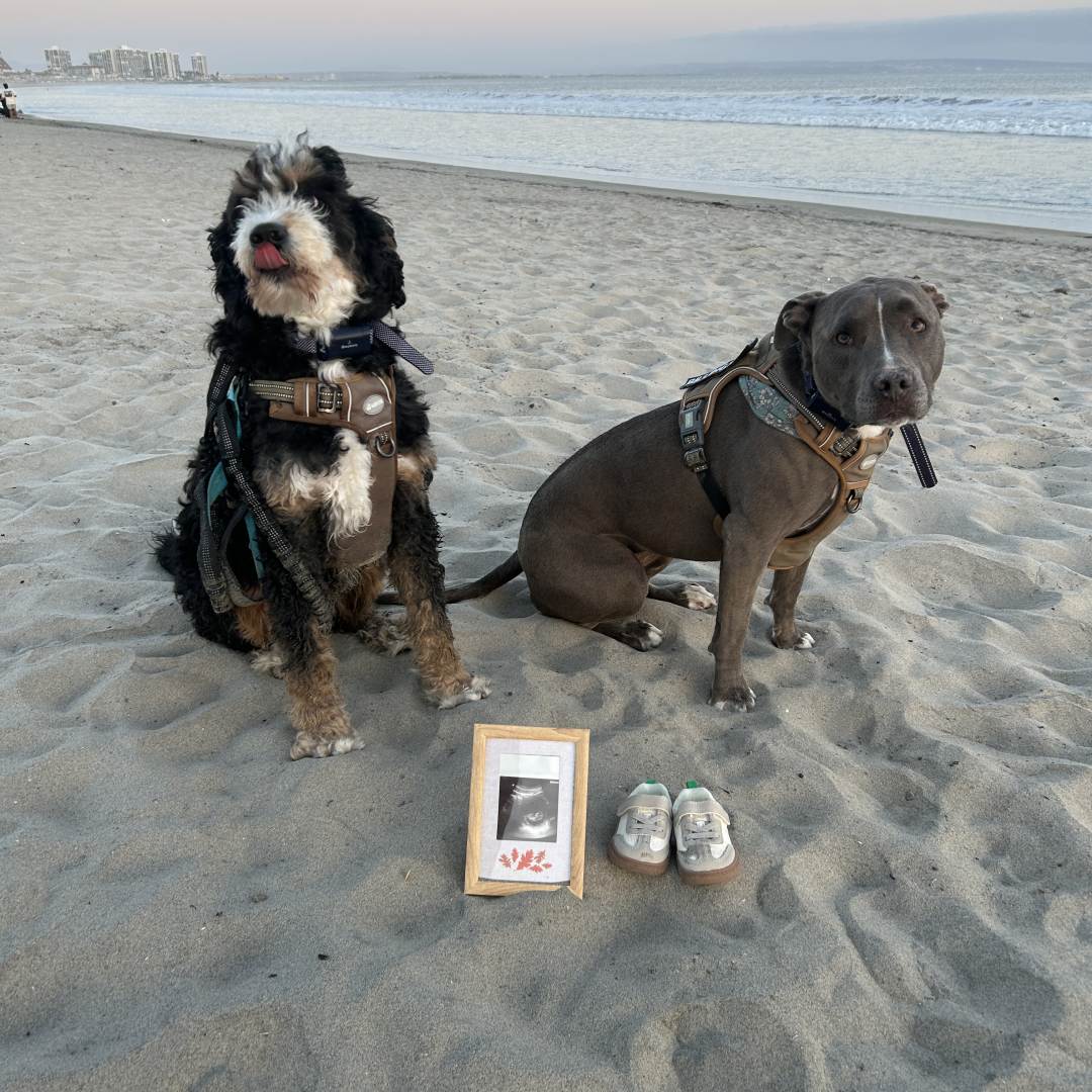 Photo shared by Kyleigh for their Babylist baby registry.