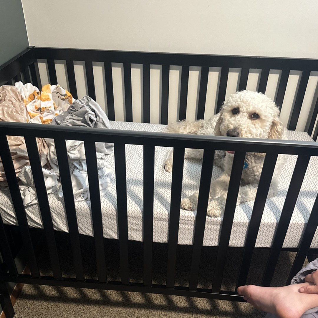 Photo shared by Caitlin for their Babylist baby registry.