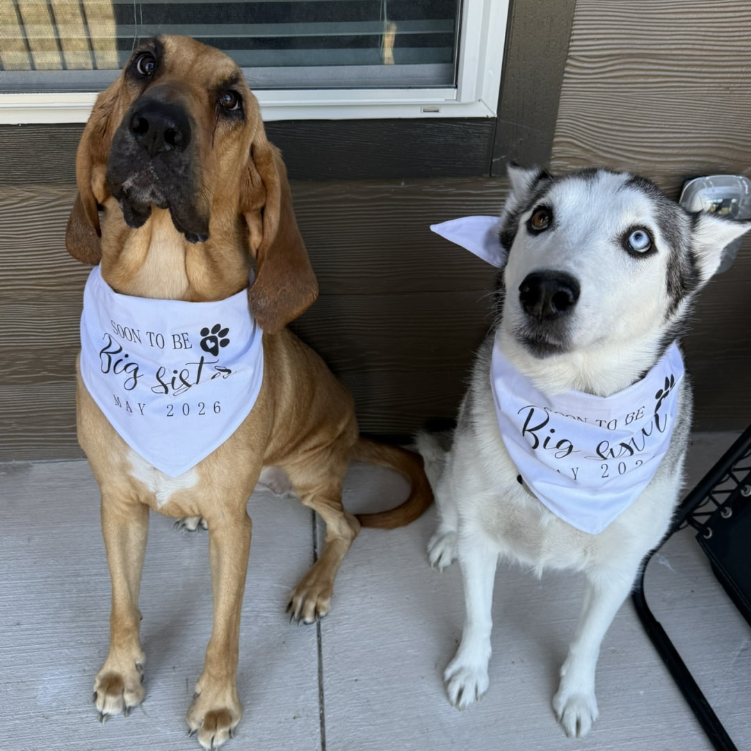 Photo shared by Kaylee for their Babylist baby registry.