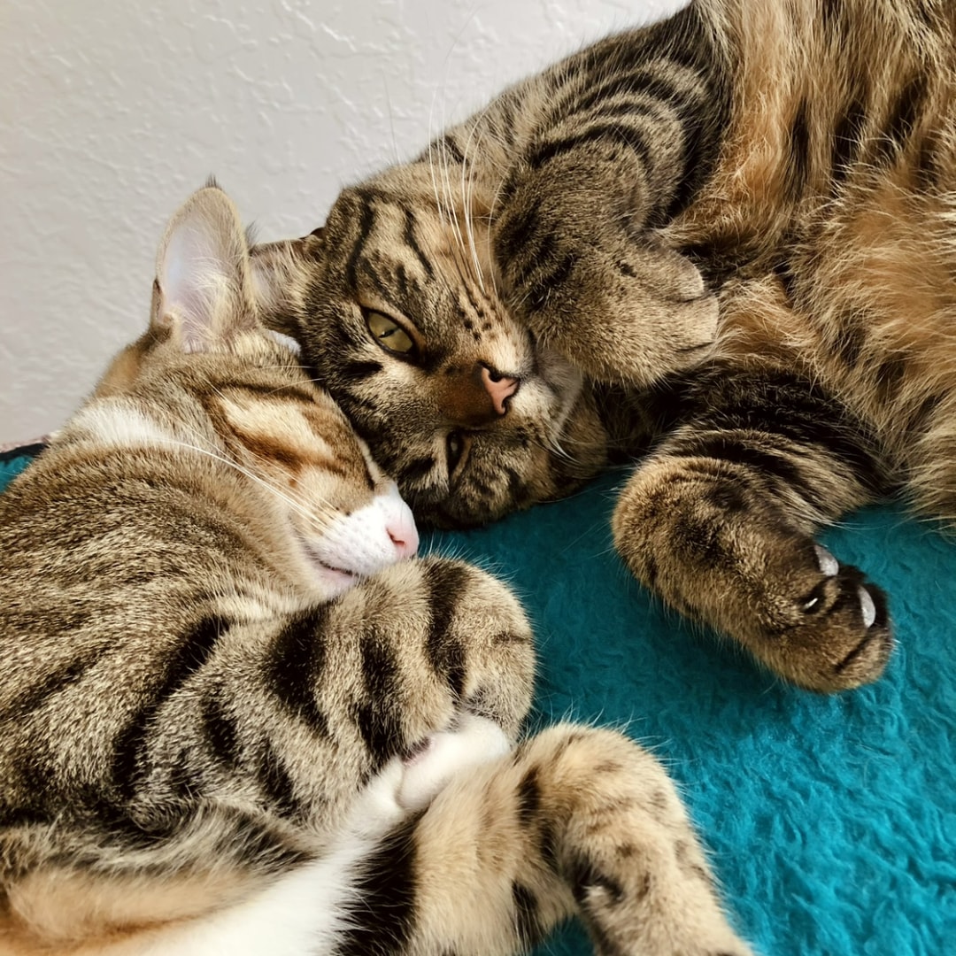 Photo shared by Casey for their Babylist baby registry.