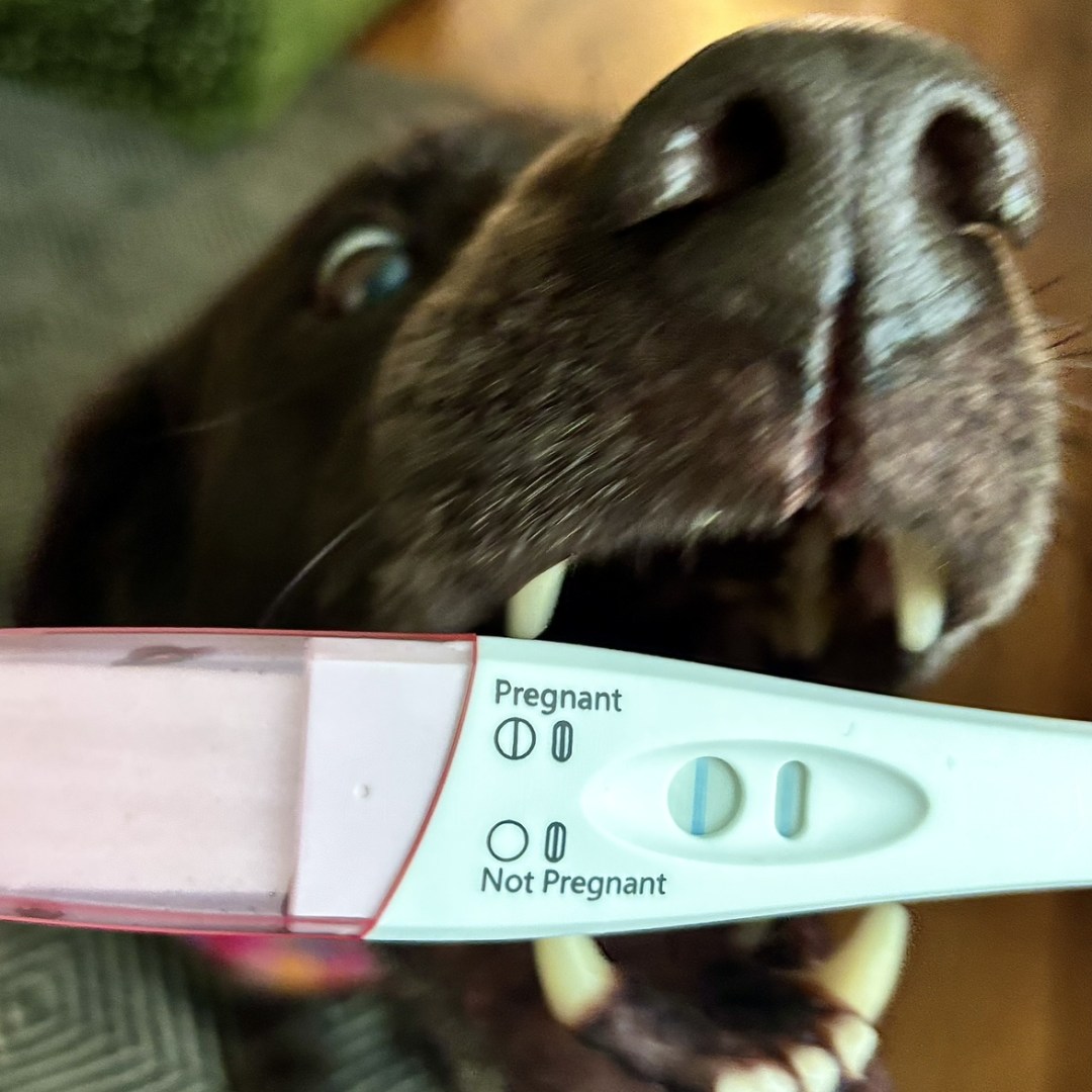 Photo shared by Gracie for their Babylist baby registry.