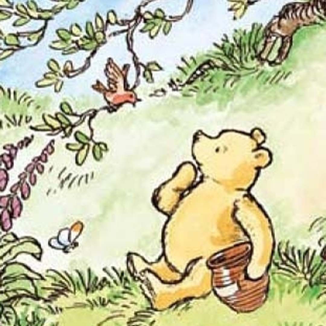 Photo shared by Carolane for their Babylist baby registry.