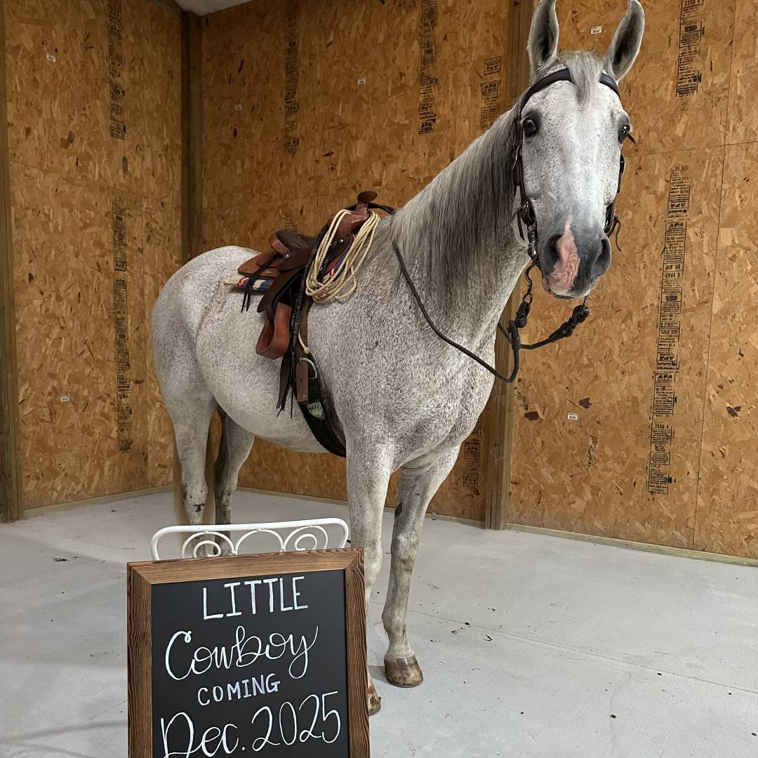 Photo shared by Elisabeth for their Babylist baby registry.