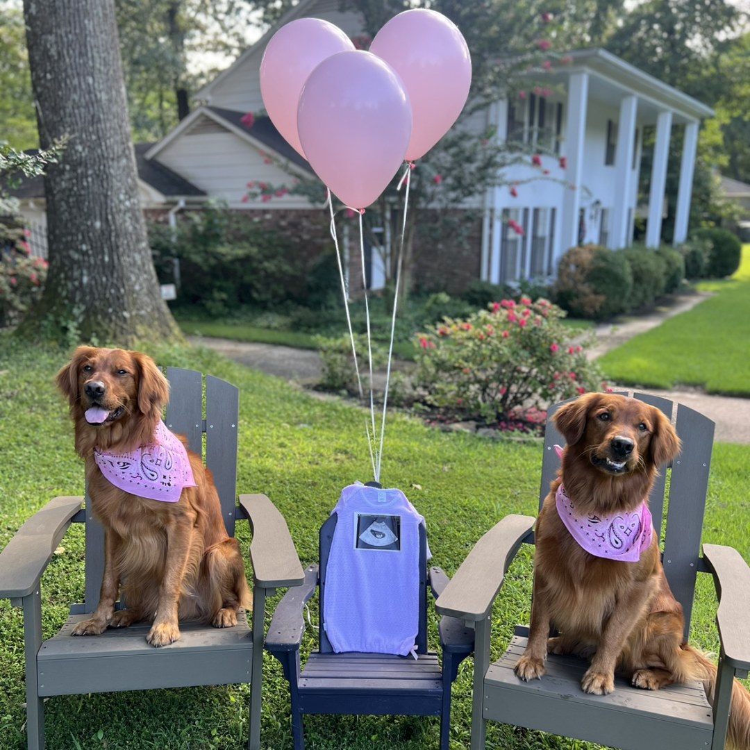 Photo shared by Lindsay for their Babylist baby registry.