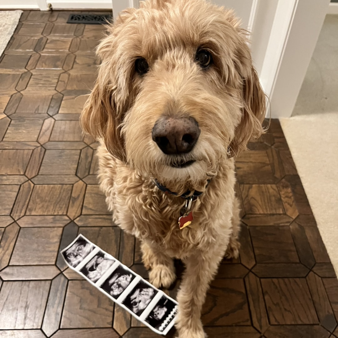 Photo shared by Kath for their Babylist baby registry.