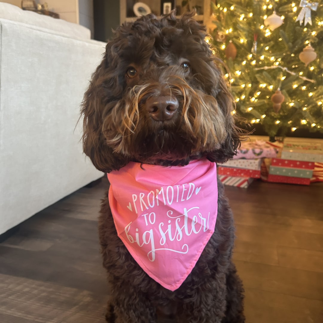 Photo shared by Breanna for their Babylist baby registry.