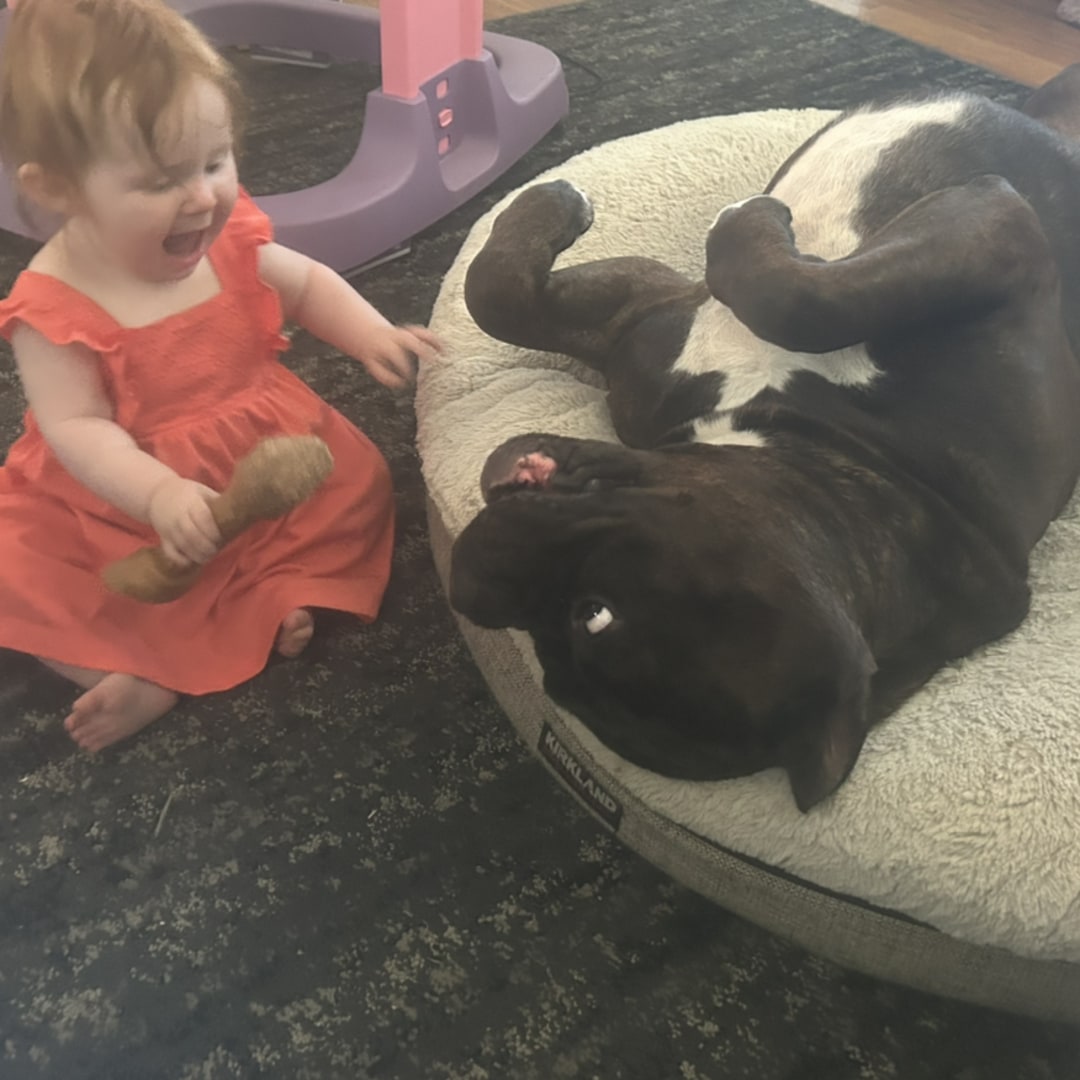 Photo shared by Angel for their Babylist baby registry.