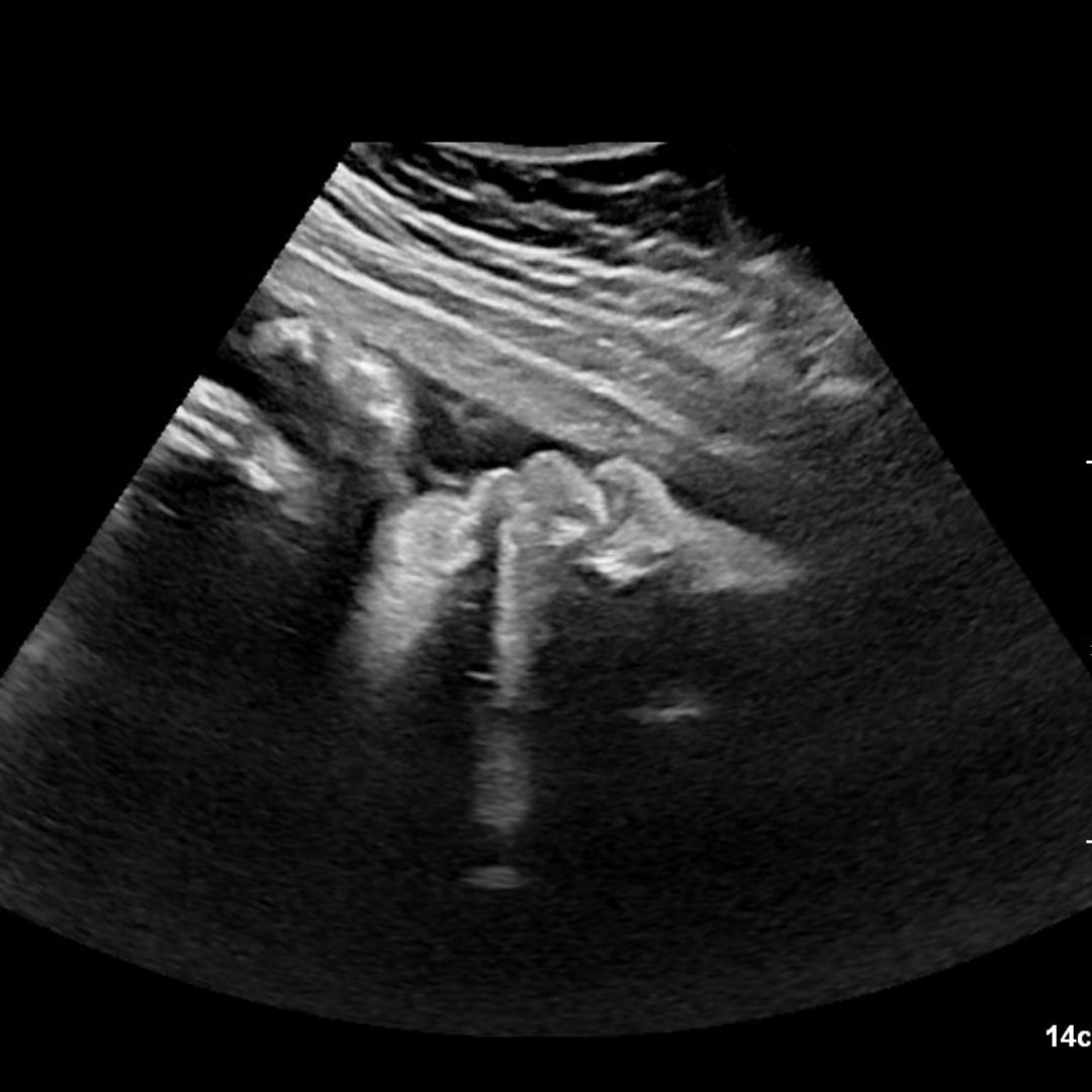 Photo shared by Erin for their Babylist baby registry.