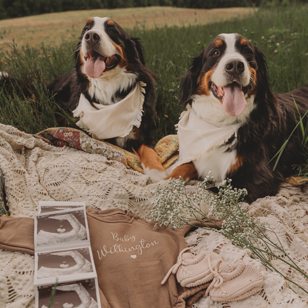 Photo shared by Brodi for their Babylist baby registry.
