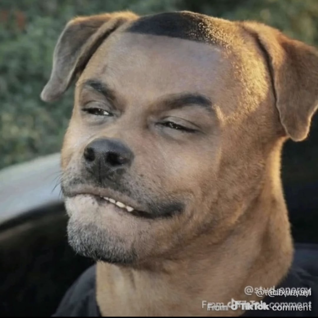 Photo shared by Collisa for their Babylist baby registry.