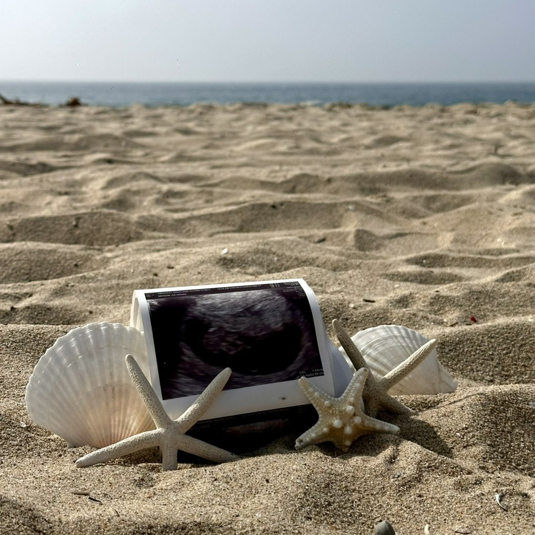 Photo shared by Laine for their Babylist baby registry.