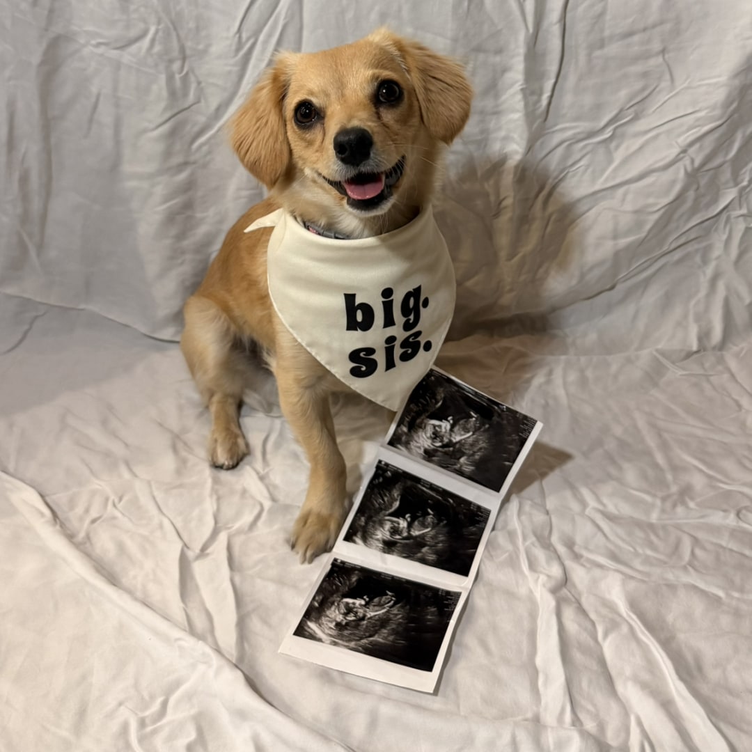 Photo shared by Kyle for their Babylist baby registry.