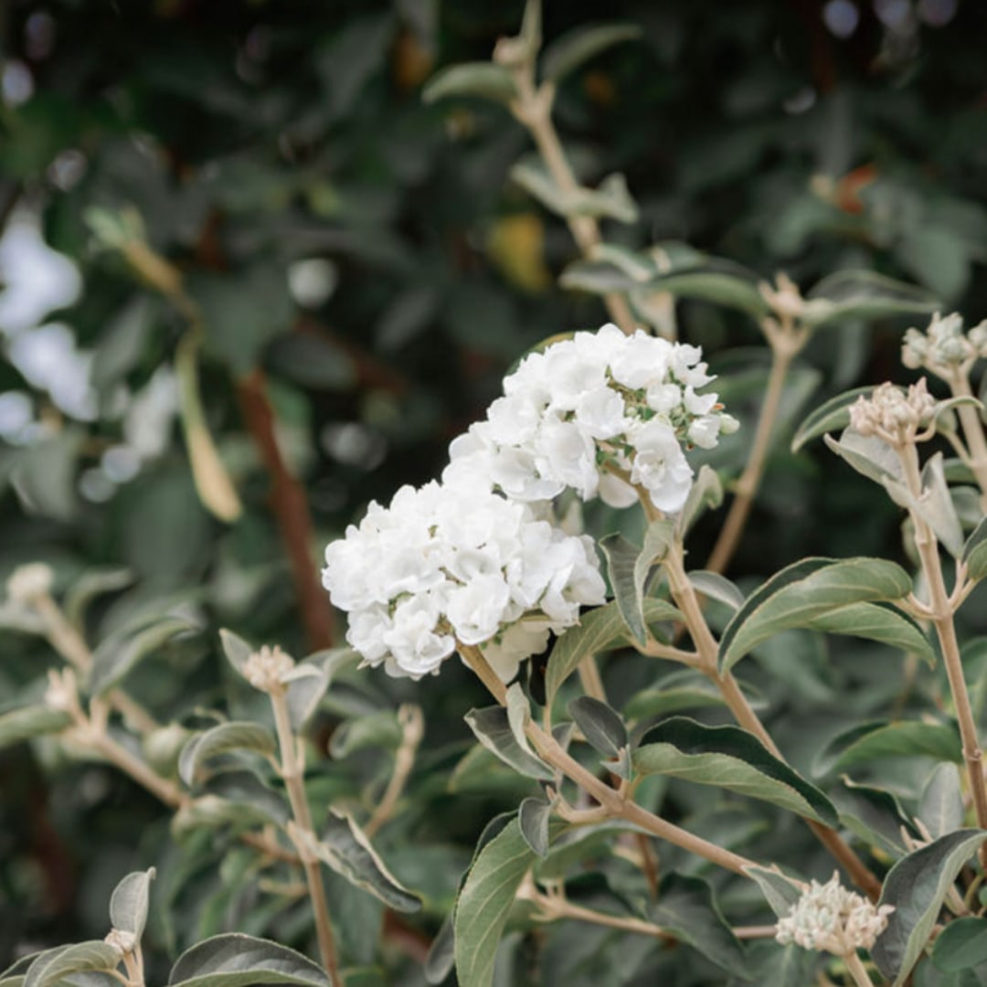 Photo shared by Caylen for their Babylist baby registry.