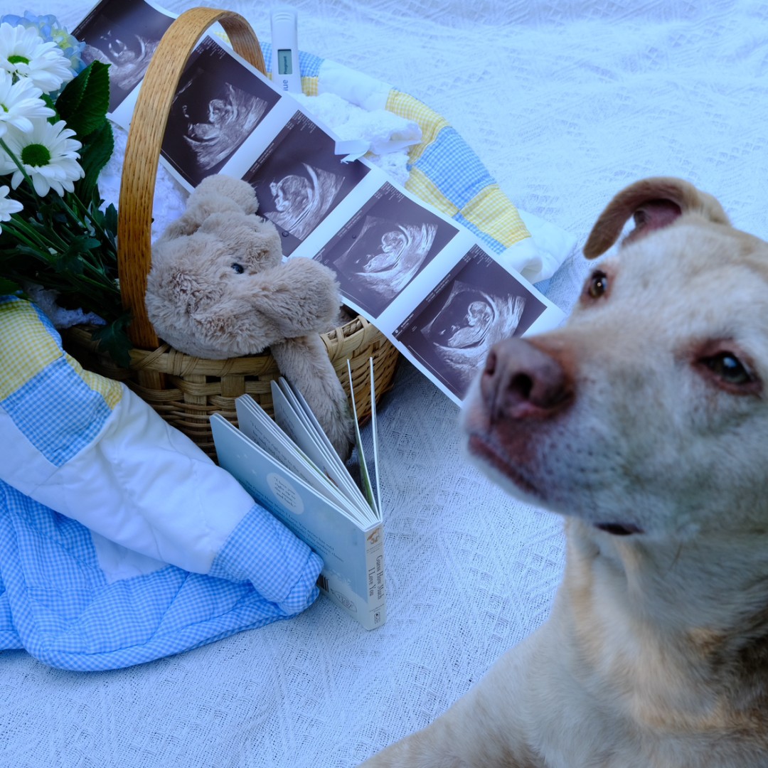 Photo shared by Emily for their Babylist baby registry.