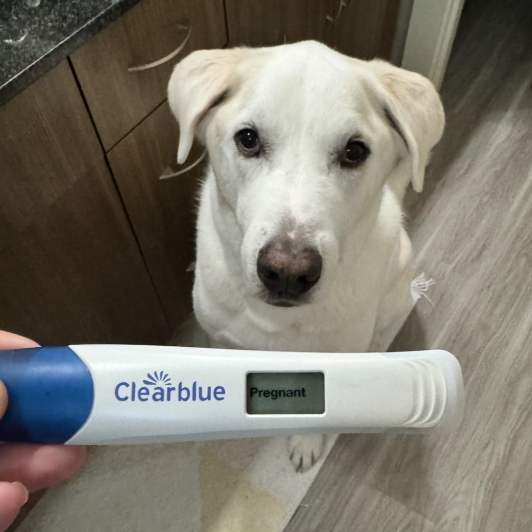 Photo shared by Sarah for their Babylist baby registry.