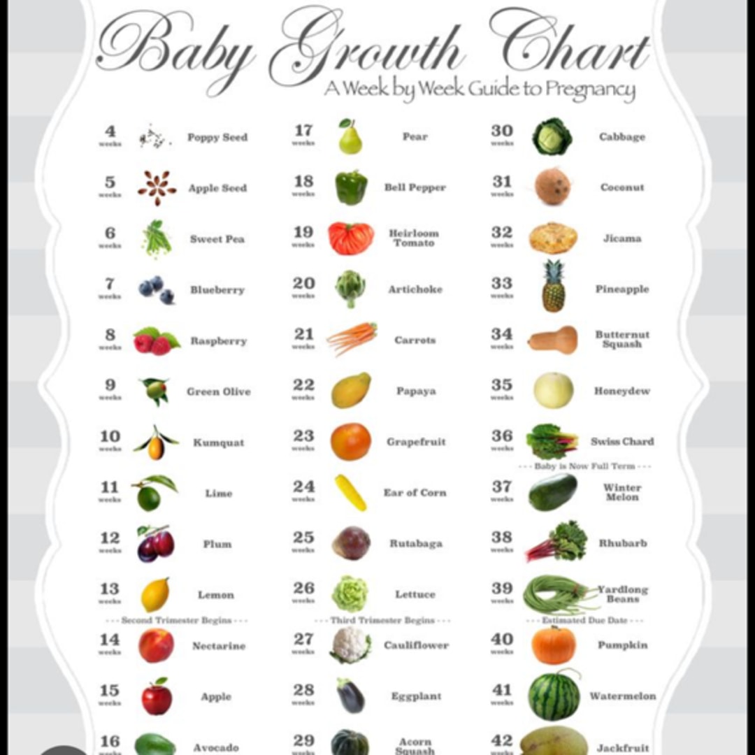 Photo shared by Alyssa for their Babylist baby registry.