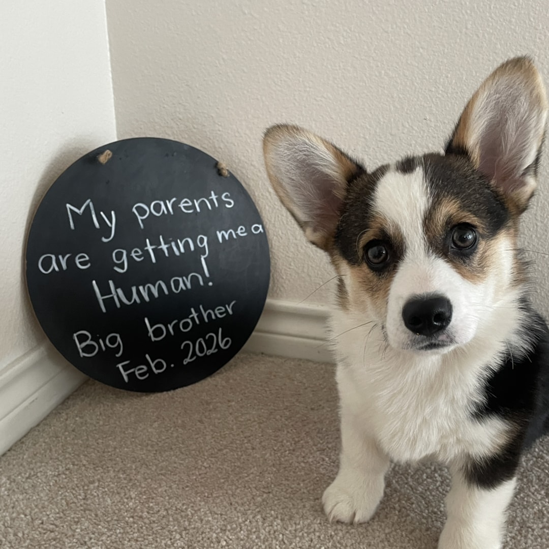 Photo shared by Emma for their Babylist baby registry.