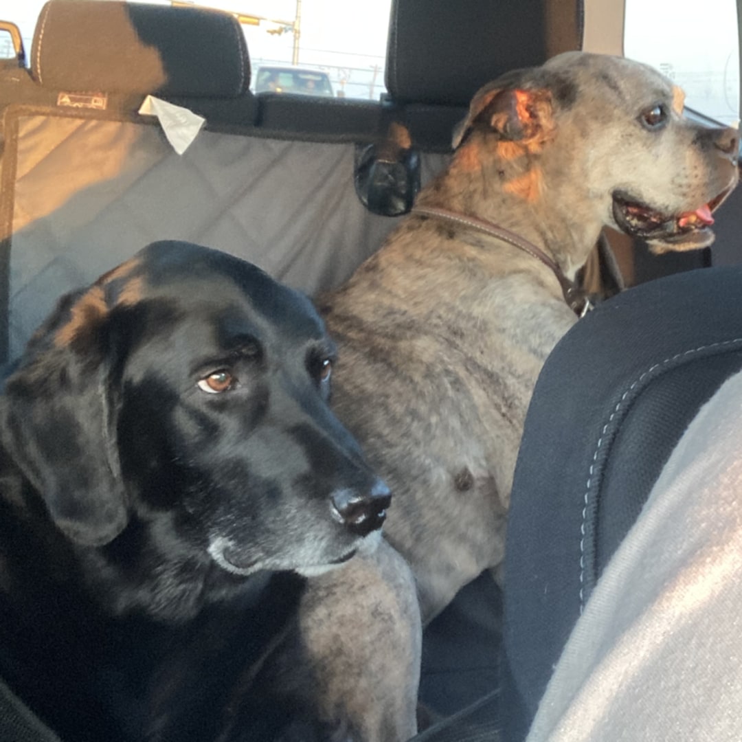 Photo shared by Shelby for their Babylist baby registry.