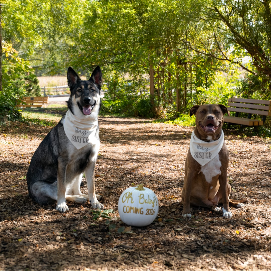 Photo shared by Brenda for their Babylist baby registry.