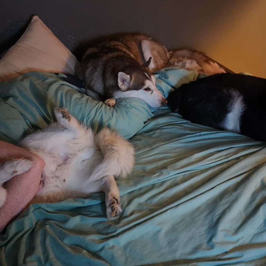 Photo shared by Tiffany for their Babylist baby registry.