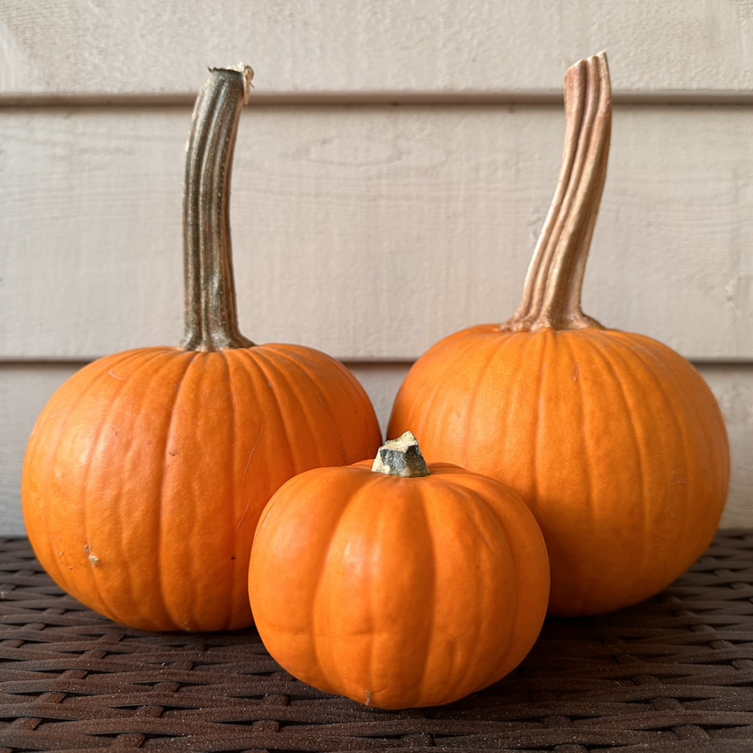 Photo shared by Ashlynne for their Babylist baby registry.