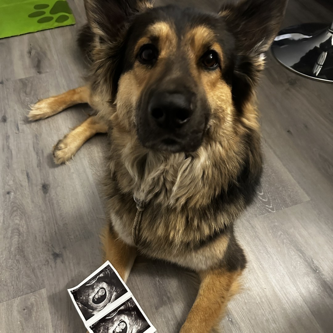 Photo shared by Gabriela for their Babylist baby registry.